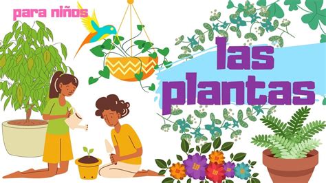 Características De Los Seres Vivos Las Plantas Para Niños Aprende