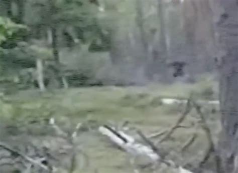 Bigfoot Sightings Reported In Small Texas Town And There S Video