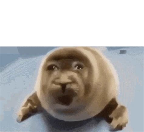 Crying Seal Animated  Maker Piñata Farms The Best Meme Generator