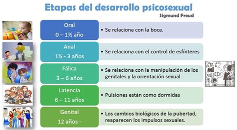 Image Result For Las Etapas Del Desarrollo Psicosexual Etapas Del