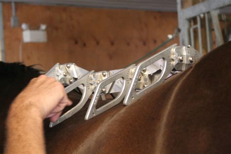 9 Fit Tips For Western Saddles Schleese