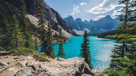 Download Sunny Day Over Moraine Lake Hd Wallpaper For 1600