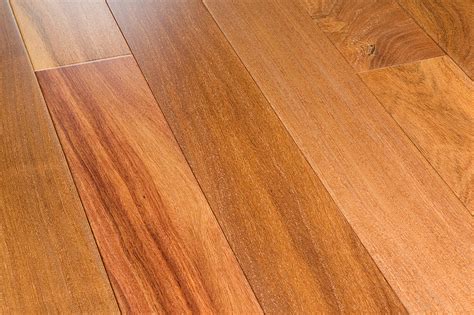 What Is Cumaru Hardwood Flooring Builddirect® Blog