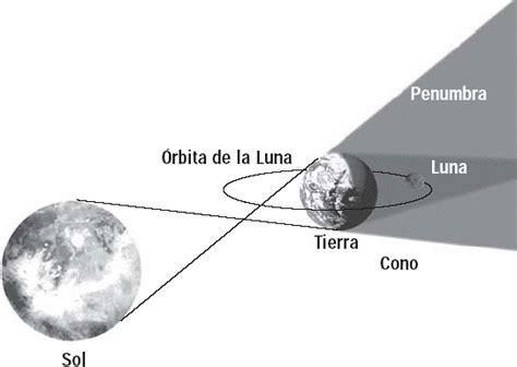 Unidad 4 Lectura 43 La Influencia De La Luna Sobre La Tierra