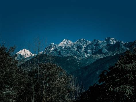 Mountains Forest Sikkim Free Photo On Pixabay Pixabay