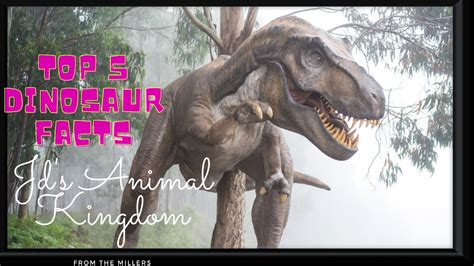 Top 5 Dinosaur Facts Why Did Dinosaurs Become Extinct Youtube