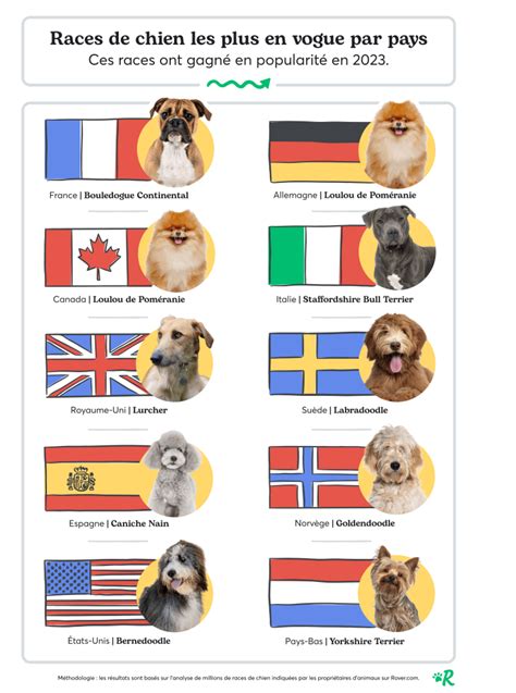 Les races de chien préférées des Français