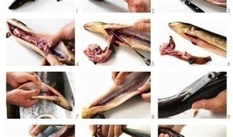 Clean eating has been something i've become very familiar with over the past year or so. How to Clean a Fish