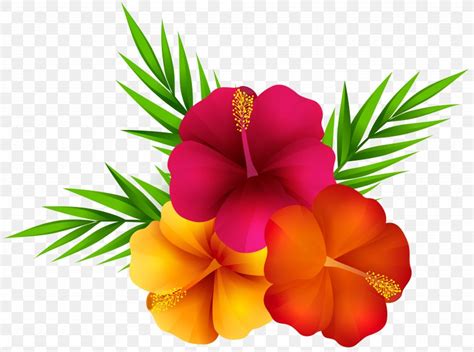 Flower Clip Art PNG X Px Hawaii Aloha Bijou Bracelet Charms Pendants Download Free