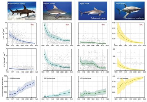 Oceans Are Sharks And Rays Threatened With Extinction World