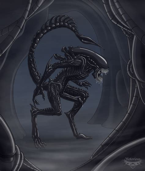 commission for xenolugia150 xenomorph by notorious hentai foundry