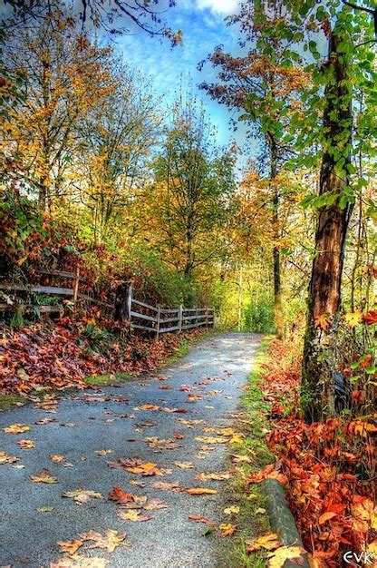 Nature Vibrant Autumn Trail Landscape Colors Photo Free Download