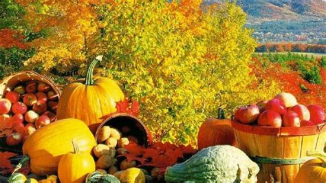Fall Harvest Wallpaper 54 Images
