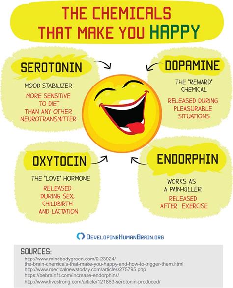 The Mystery Of Serotonin Can It Really Make You Happy