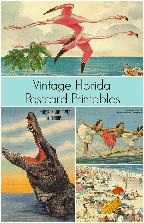 Vintage Florida Postcard Images You Can Print Out And Use In Crafts