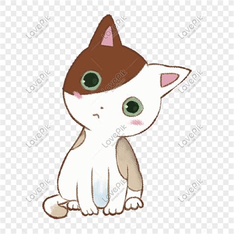 Haiwan Wallpaper Gambar Kucing Comel Kartun 50 Wallpaper Kucing Imut