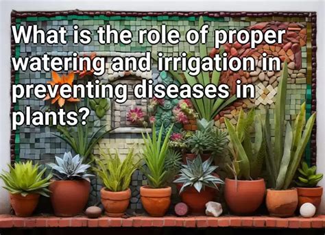 What Is The Role Of Proper Watering And Irrigation In Preventing