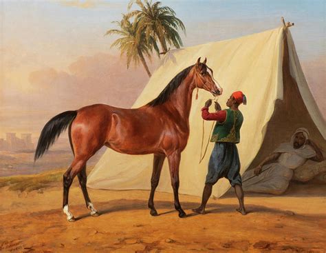 Prior to the age of four, female horses are called fillies, and from age four and up, they are called mares. Showing An Arabian Horse Painting by Horace Vernet