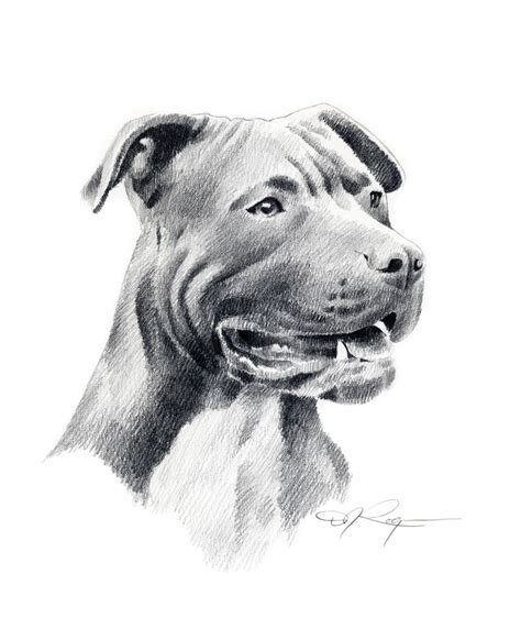 Dog Drawing Pitbull Stafford Dibujos De Perros Animales Dibujados