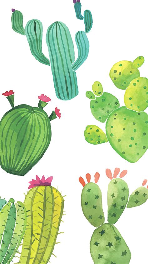 Cute Cactus Cacti Hd Phone Wallpaper Pxfuel