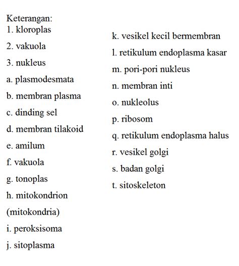 Maybe you would like to learn more about one of these? DUNIA BIOLOGI: SEL TUMBUHAN