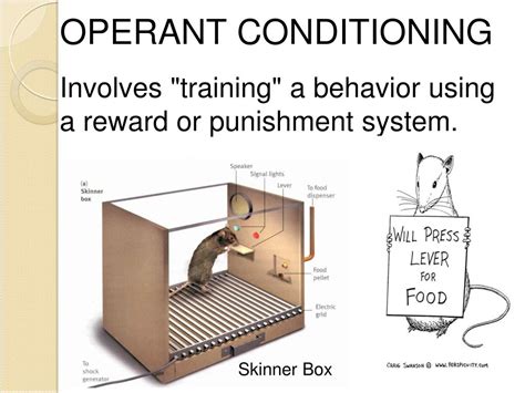 Ppt Animal Behavior Powerpoint Presentation Free Download Id2073398