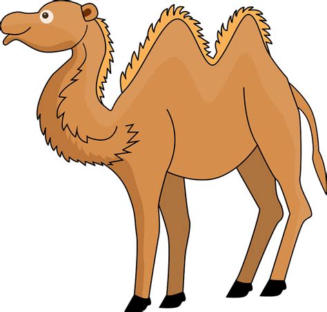 Camel Clipart Free Download Transparent Png Creazilla