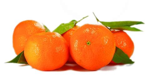 History Of Food 5 Interesting Facts About Oranges