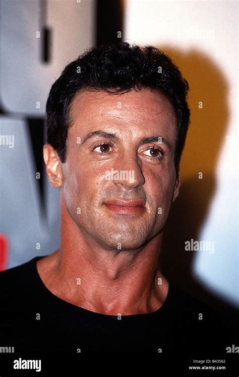 Stallone Sylvester 671946 American Actor Portrait 1993 Stock