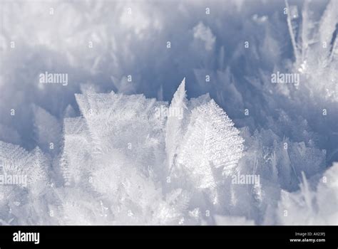 Ice Crystal Snow Crystal Stock Photo Alamy