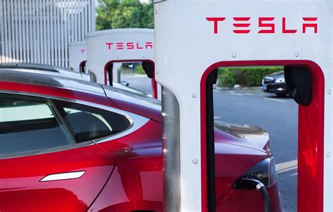 Tesla Rolls Out Global Customer Referral Program As Ev Price War Heats
