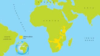 Where do plains zebras live? Jungle Maps: Map Of Africa Where Zebras Live