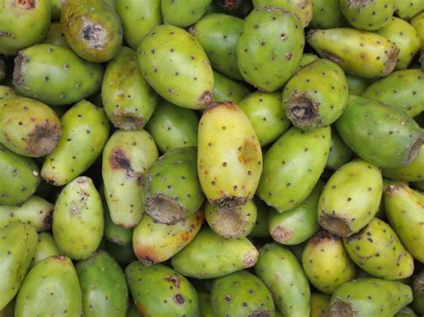 How To Cut And Eat Prickly Pear Cactus Fruit