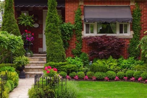 6 Inspiring Ideas For Landscaping With Small Shrubs