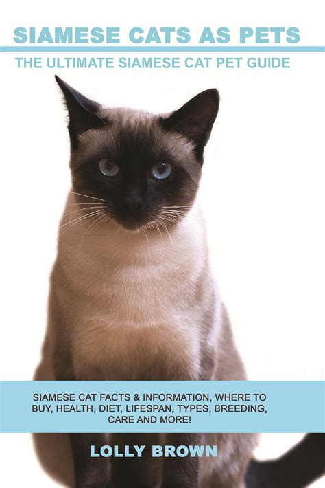 Buy Siamese Cats As Pets Siamese Cat Facts And Information Where To Buy