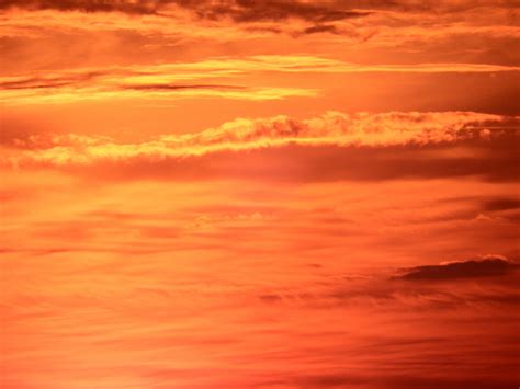 Bright Orange Sunset Sky Free Stock Photo Public Domain Pictures