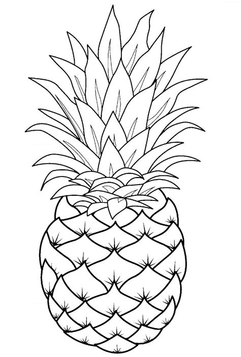 Pineapple Template Line Art Drawings Fruit Coloring Pages