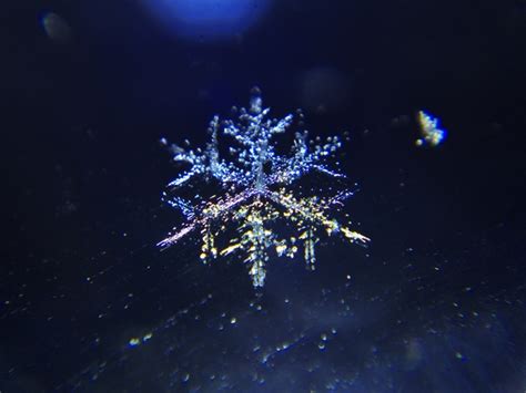 Snowflake At Night Photorator