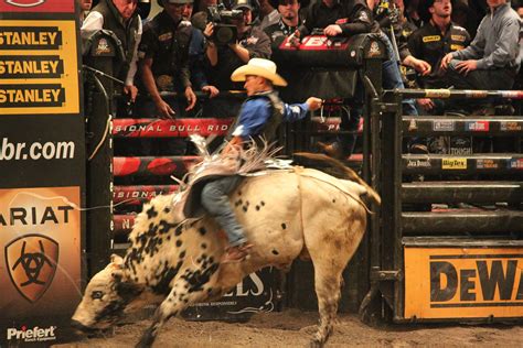 Bull Riding Wallpapers 62 Images