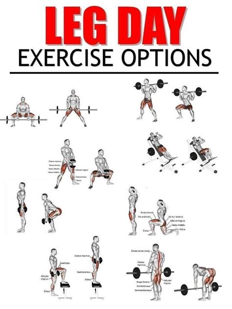 an exercise poster showing how to do the leg day