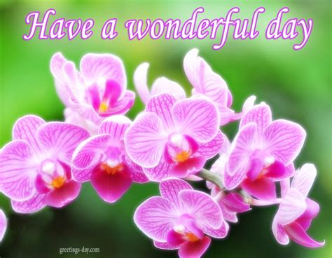 Have a Wonderful Day - Daily Pics, Greetings, GIFs.