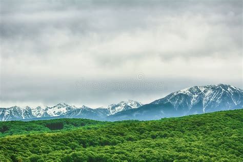 Snow Covered Carpathian Mountains Stock Photo Image Of Nature Forest