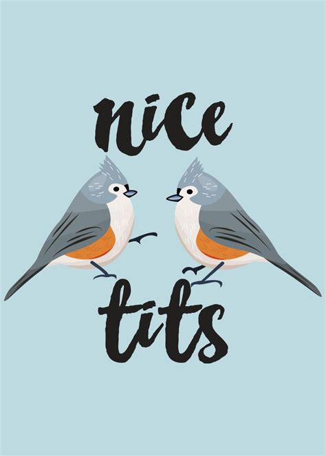 Cute Titmouse Titmice Bird Poster By Philip Anders Displate