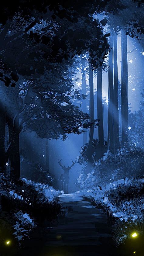 Beautiful Night Forest Wallpapers Top Free Beautiful Night Forest