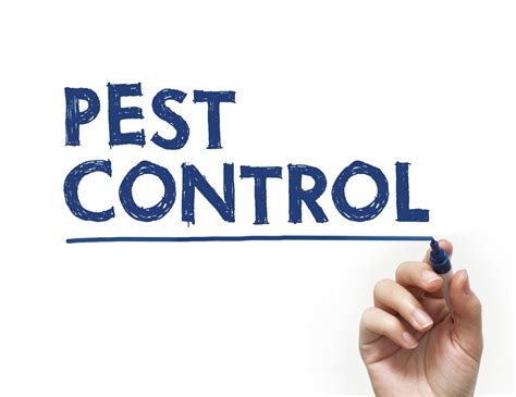 Continue reading this article and see why you need the services of a pest control company. Do You Need Professional Pest Control? | Bain Pest Control ...