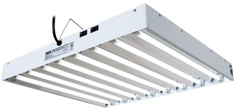 Toggled focused spectrum grow lights are engineered to provide improved growing performance for green leafy plants using selected led output wavelengths. Best 2 feet 8 bulb HO T5 fixtures | T5 grow light fixtures