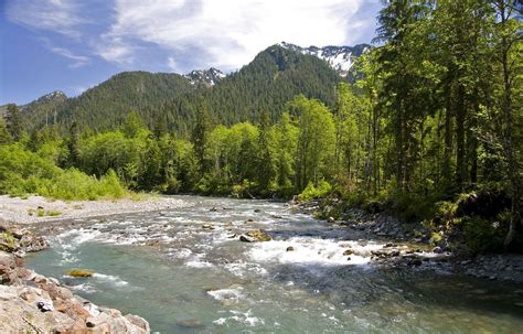 The South Fork Of The Stillaguamish River Along The Mountain Loop In