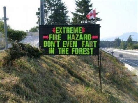 ≡ 24 Crazy Funny Road Signs Brain Berries
