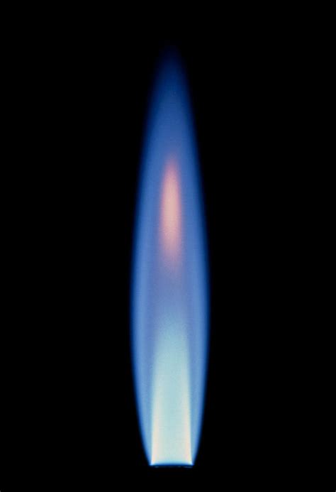 Propane Gas Flame From A Bunsen Burner Photograph By David Parker