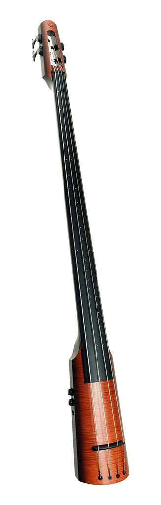 Electric Upright Bass Double Bass Bass Guitar Musical Instruments
